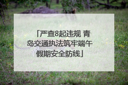 严查8起违规 青岛交通执法筑牢端午假期安全防线