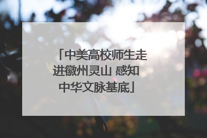 中美高校师生走进徽州灵山 感知中华文脉基底