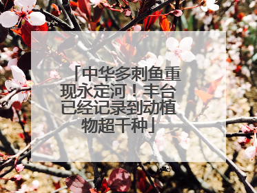 中华多刺鱼重现永定河！丰台已经记录到动植物超千种