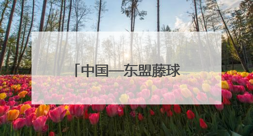 中国—东盟藤球邀请赛即将在贵州开赛 一起来了解藤球运动吧！