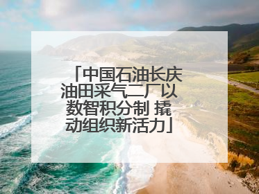 中国石油长庆油田采气二厂以数智积分制 撬动组织新活力