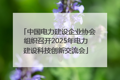 中国电力建设企业协会组织召开2025年电力建设科技创新交流会