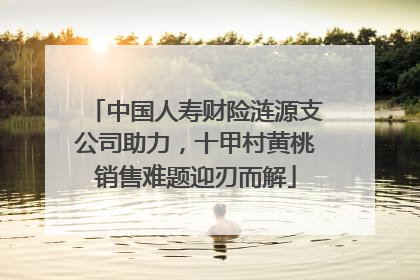 中国人寿财险涟源支公司助力，十甲村黄桃销售难题迎刃而解