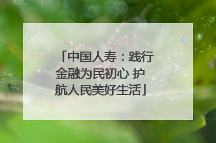 中国人寿：践行金融为民初心 护航人民美好生活