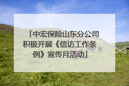 中宏保险山东分公司积极开展《信访工作条例》宣传月活动