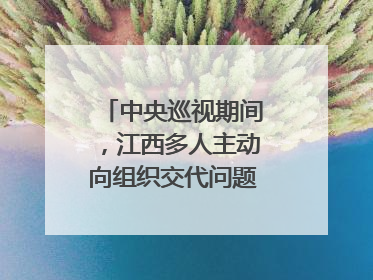 中央巡视期间，江西多人主动向组织交代问题｜打虎拍蝇