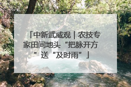 中新武威观｜农技专家田间地头“把脉开方”送“及时雨”