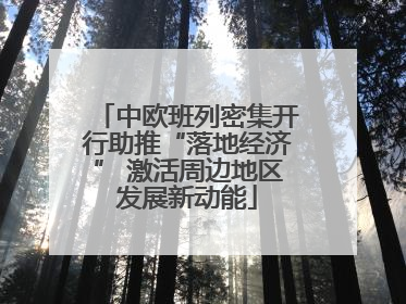 中欧班列密集开行助推“落地经济” 激活周边地区发展新动能
