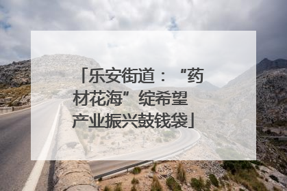 乐安街道：“药材花海”绽希望 产业振兴鼓钱袋