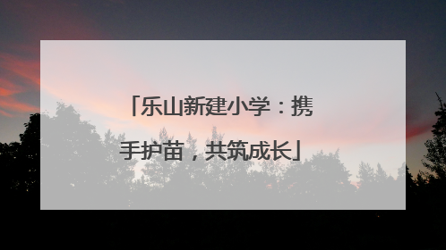 乐山新建小学：携手护苗，共筑成长