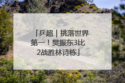 乒超｜挑落世界第一！樊振东3比2战胜林诗栋