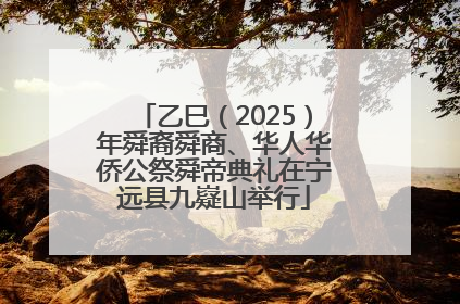 乙巳（2025）年舜裔舜商、华人华侨公祭舜帝典礼在宁远县九嶷山举行