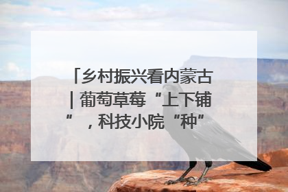 乡村振兴看内蒙古｜葡萄草莓“上下铺”，科技小院“种”出三倍效益