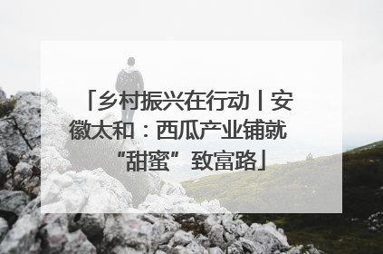 乡村振兴在行动丨安徽太和：西瓜产业铺就“甜蜜”致富路