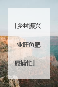 乡村振兴｜业旺鱼肥夏捕忙
