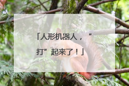 人形机器人，“打”起来了！