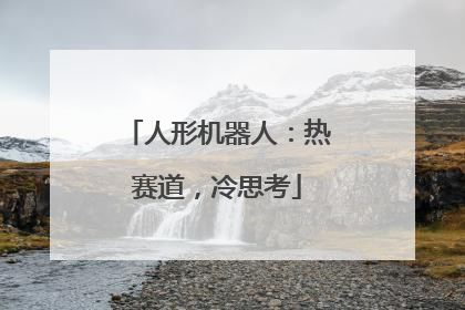 人形机器人：热赛道，冷思考