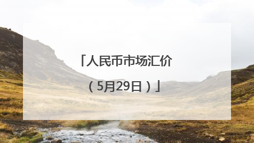 人民币市场汇价（5月29日）