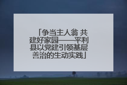 争当主人翁 共建好家园——平利县以党建引领基层善治的生动实践