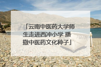 云南中医药大学师生走进西冲小学 播撒中医药文化种子