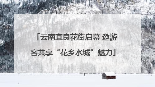 云南宜良花街启幕 邀游客共享“花乡水城”魅力