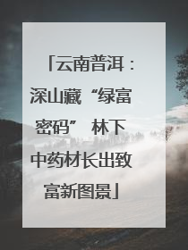 云南普洱：深山藏“绿富密码” 林下中药材长出致富新图景