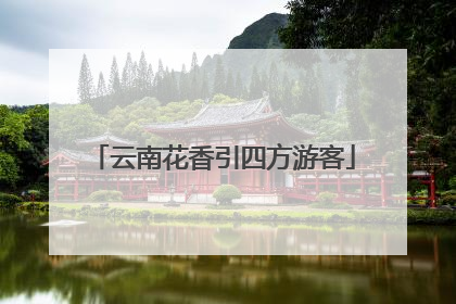 云南花香引四方游客