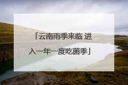 云南雨季来临 进入一年一度吃菌季