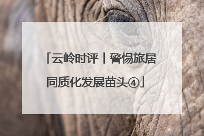 云岭时评丨警惕旅居同质化发展苗头④