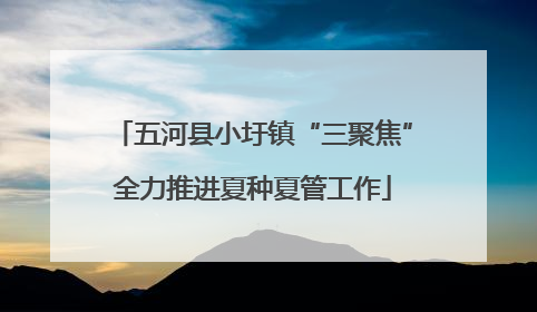 五河县小圩镇“三聚焦”全力推进夏种夏管工作