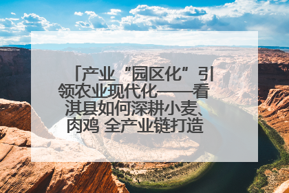 产业“园区化”引领农业现代化——看淇县如何深耕小麦、肉鸡 全产业链打造现代农业产业园