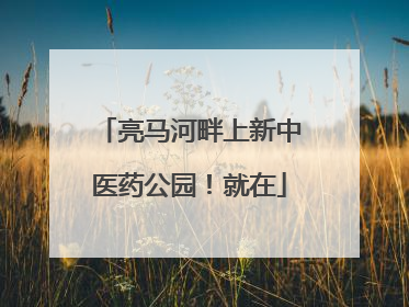 亮马河畔上新中医药公园！就在