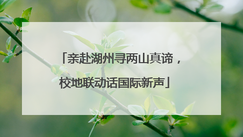 亲赴湖州寻两山真谛，校地联动话国际新声