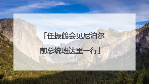 任振鹤会见尼泊尔前总统班达里一行