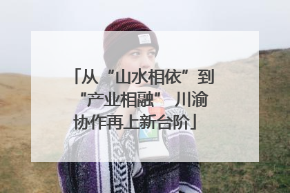 从“山水相依”到“产业相融” 川渝协作再上新台阶