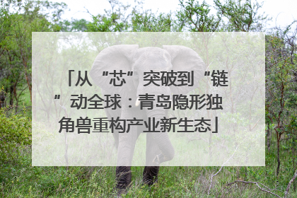从“芯”突破到“链”动全球：青岛隐形独角兽重构产业新生态