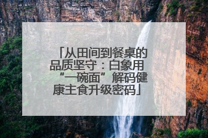 从田间到餐桌的品质坚守：白象用“一碗面”解码健康主食升级密码