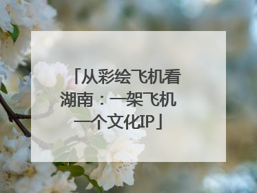 从彩绘飞机看湖南：一架飞机一个文化IP