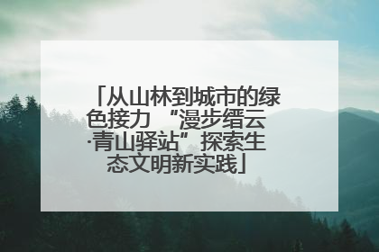 从山林到城市的绿色接力 “漫步缙云·青山驿站”探索生态文明新实践