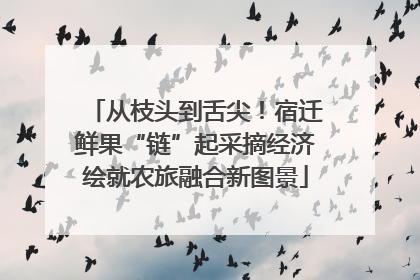 从枝头到舌尖！宿迁鲜果“链”起采摘经济绘就农旅融合新图景
