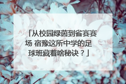 从校园绿茵到省赛赛场 宿豫这所中学的足球班藏着啥秘诀？