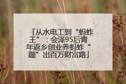 从水电工到“蚂蚱王”：会泽95后青年返乡创业养蚂蚱“蹦”出百万财富路