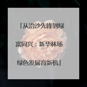 从治沙先锋到绿富同兴：新华林场绿色发展育新机