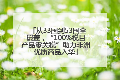 从33国到53国全覆盖，“100%税目产品零关税”助力非洲优质商品入华