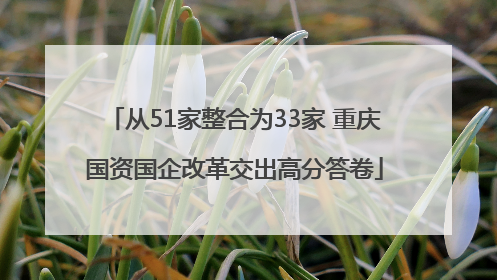 从51家整合为33家 重庆国资国企改革交出高分答卷