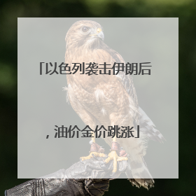 以色列袭击伊朗后，油价金价跳涨