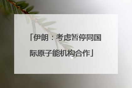 伊朗：考虑暂停同国际原子能机构合作