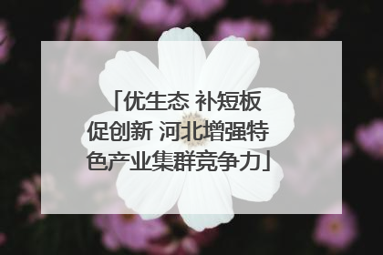 优生态 补短板 促创新 河北增强特色产业集群竞争力