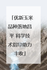 优新玉米品种落地昌平 科学技术指导助力丰收