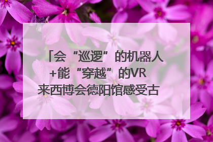 会“巡逻”的机器人+能“穿越”的VR 来西博会德阳馆感受古蜀文明与现代智造的时空对话｜西博视界